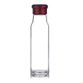 Borosilicate Glass Handmade Water Bottle